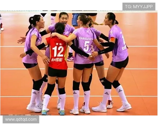 TVB直播女排赛中国队对阵荷兰队精彩对决引发球迷热议